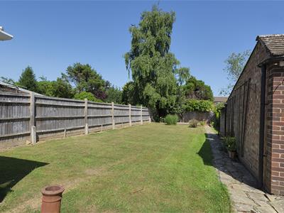 Picture 15